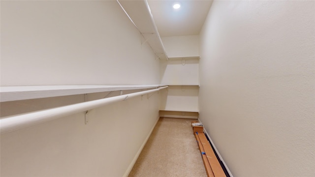 spacious closet featuring carpet