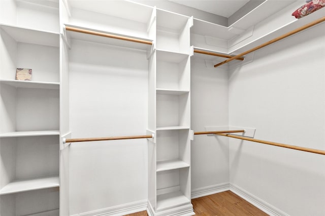 spacious closet featuring hardwood / wood-style floors