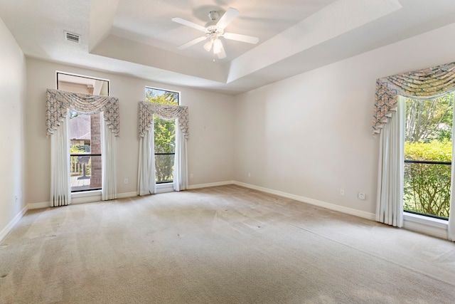 empty room with a raised ceiling, light carpet, and a wealth of natural light