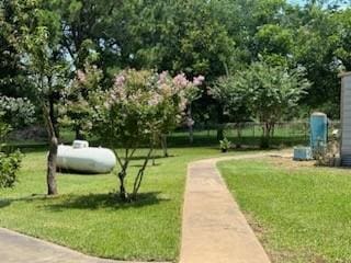 view of community featuring a yard