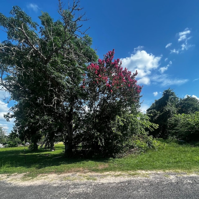 1134 J A Green St, Schulenburg TX, 78956 land for sale