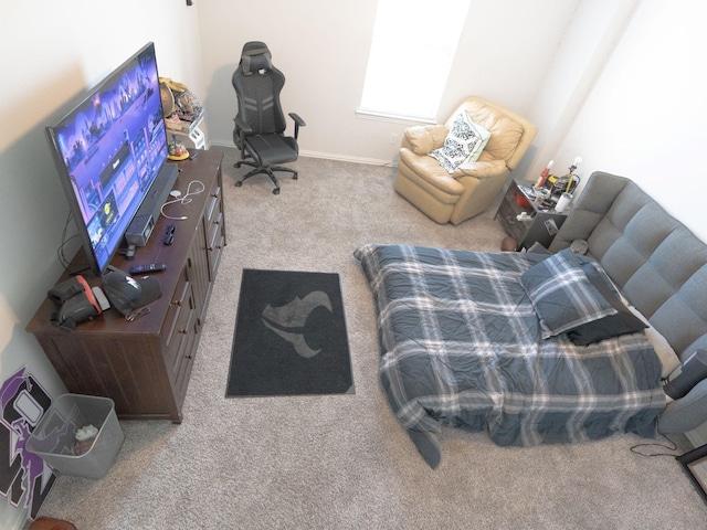 bedroom with carpet flooring