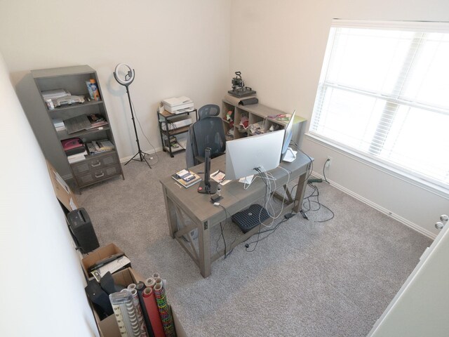 home office with light carpet