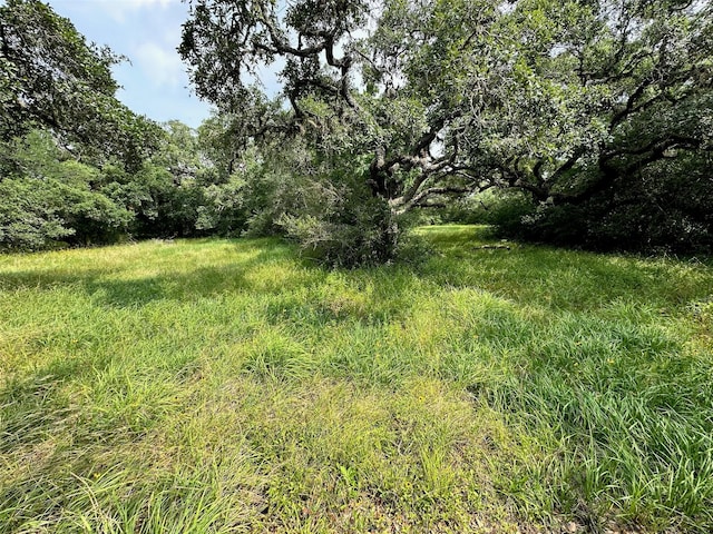 129 Center Tree Dr, Palacios TX, 77465 land for sale