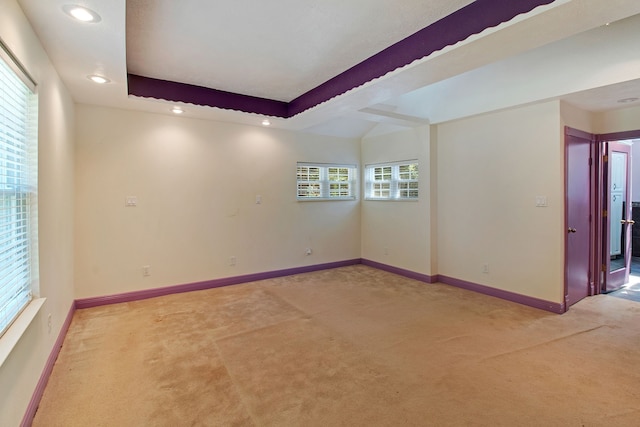 spare room featuring light carpet, a tray ceiling, and plenty of natural light