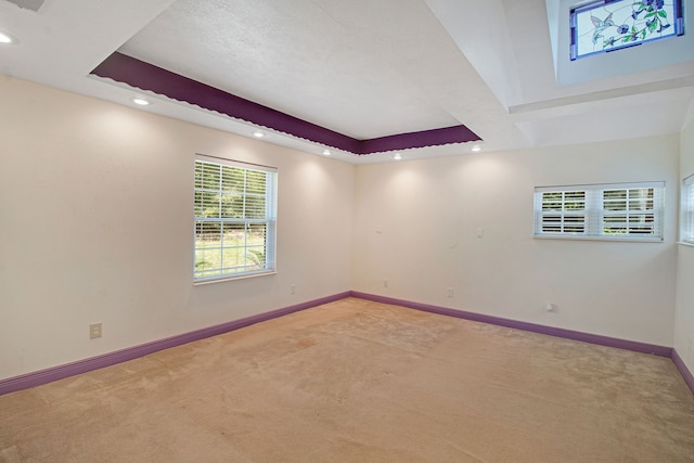 carpeted spare room with a tray ceiling and a textured ceiling