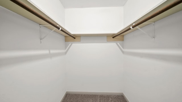 spacious closet with carpet floors