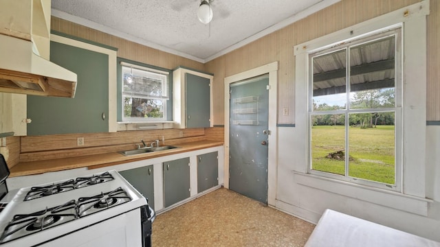 kitchen with white gas stove, sink, ventilation hood, crown molding, and a textured ceiling