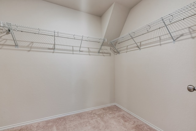 spacious closet with light colored carpet