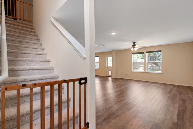 stairway featuring wood-type flooring and ceiling fan