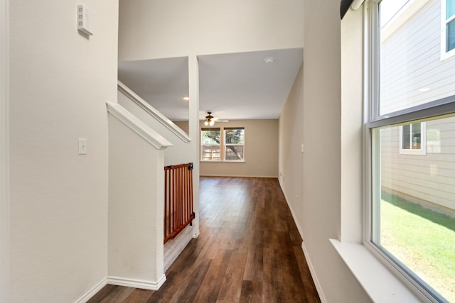 hallway with dark hardwood / wood-style floors