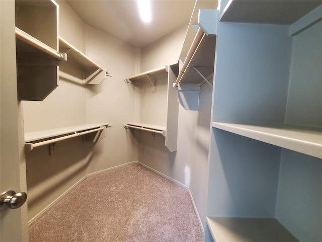 walk in closet featuring light carpet