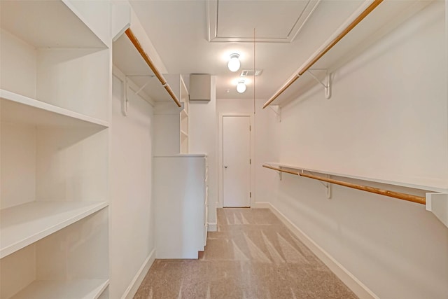 spacious closet with light colored carpet