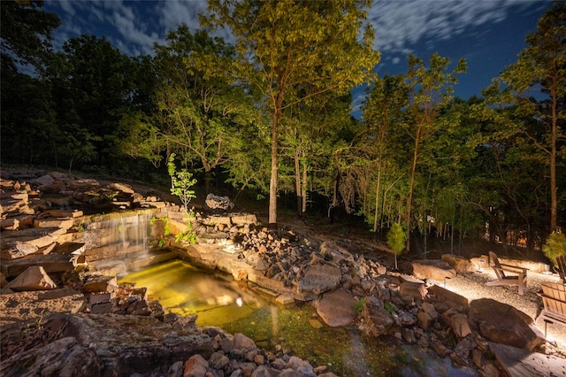 view of local wilderness