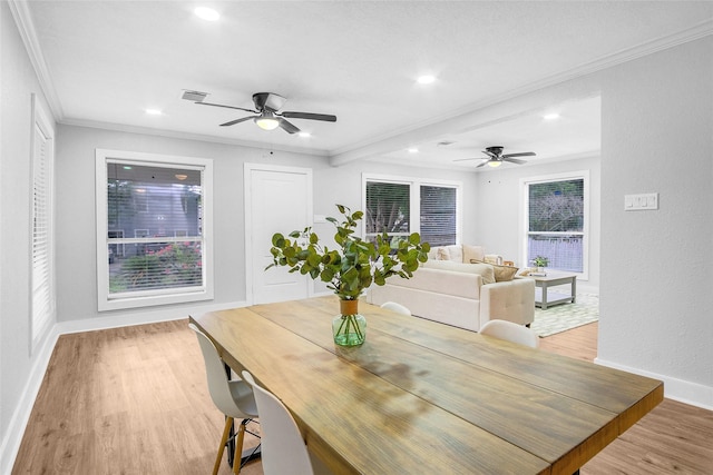 dining space with light wood-type flooring, ceiling fan, and crown molding