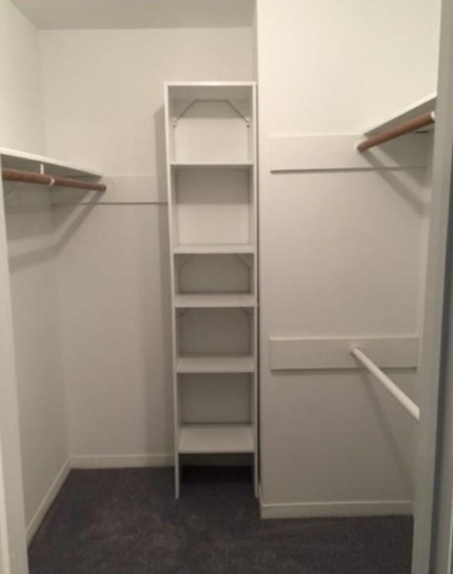 walk in closet featuring dark colored carpet