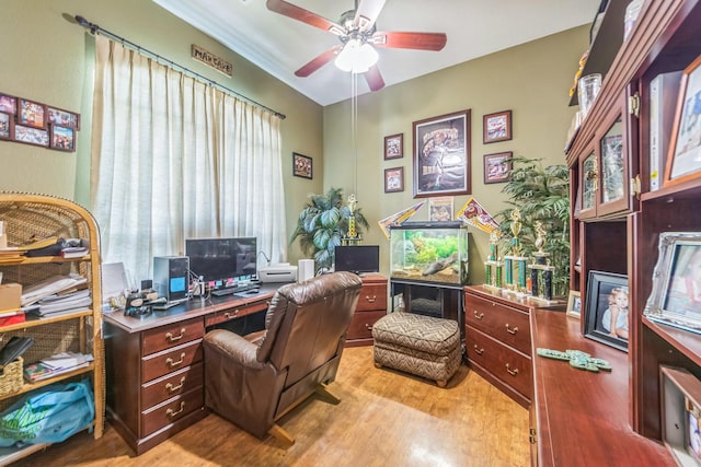 office space with ceiling fan and light wood-type flooring