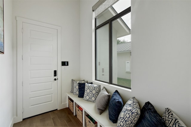 mudroom featuring a wealth of natural light and dark wood-type flooring