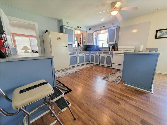 kitchen featuring ceiling fan, hardwood / wood-style floors, white appliances, and blue cabinets