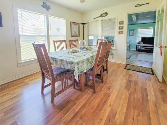 dining room with light hardwood / wood-style flooring and plenty of natural light