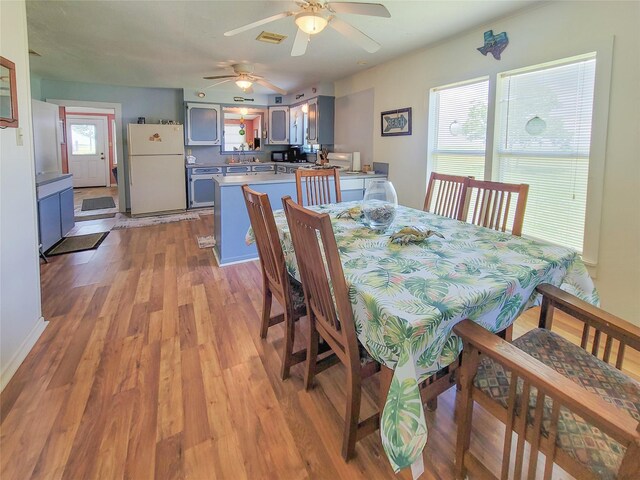 dining area featuring light wood-type flooring, ceiling fan, and sink