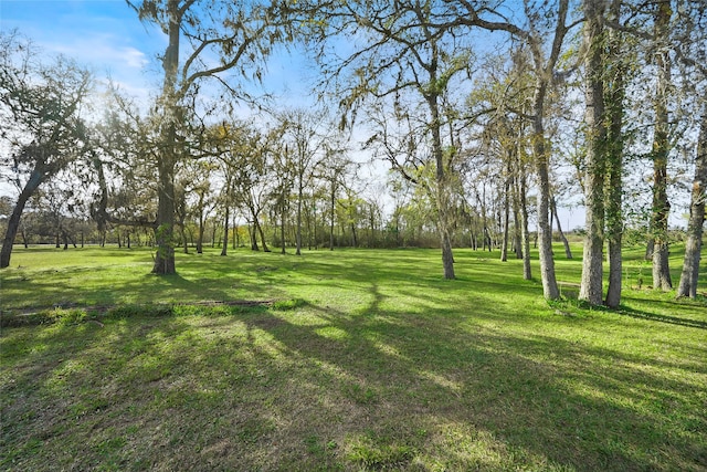 Listing photo 3 for 12201 Fm 2759th Rd, Richmond TX 77469