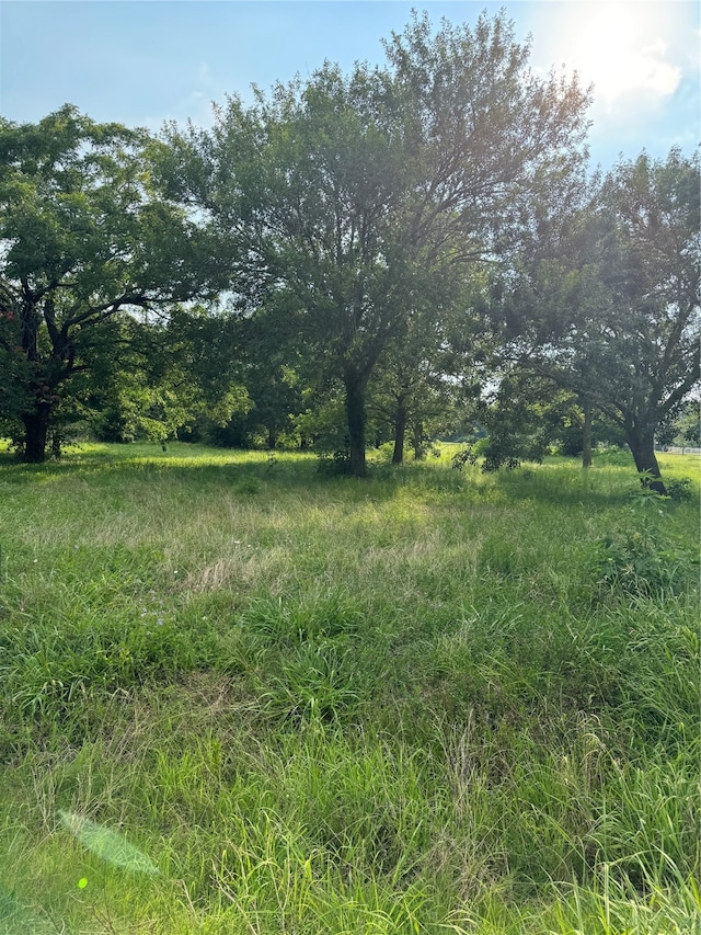 00 Sagebrush Rd, Simonton TX, 77476 land for sale