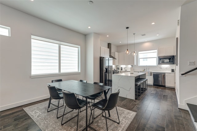 dining area featuring sink and dark hardwood / wood-style floors