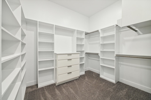 spacious closet featuring dark colored carpet