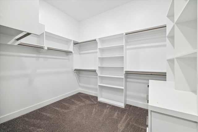 spacious closet with dark colored carpet