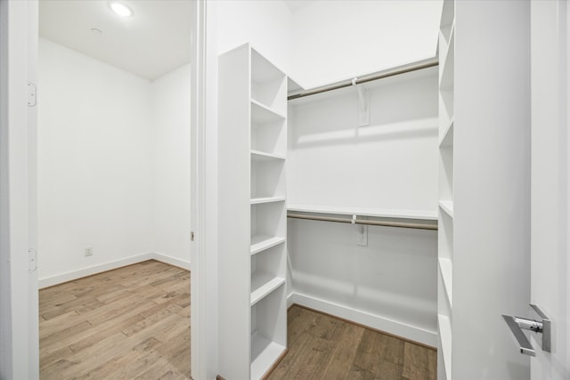 spacious closet with wood-type flooring