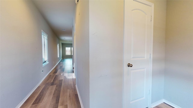 hallway featuring hardwood / wood-style flooring