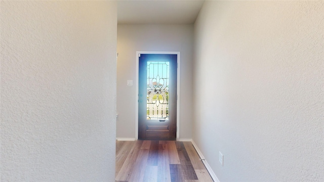 doorway to outside featuring wood-type flooring