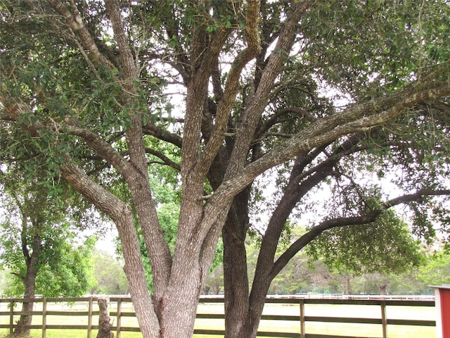 20002 Fm 1488th Rd, Magnolia, TX 77355 - view of community featuring fence