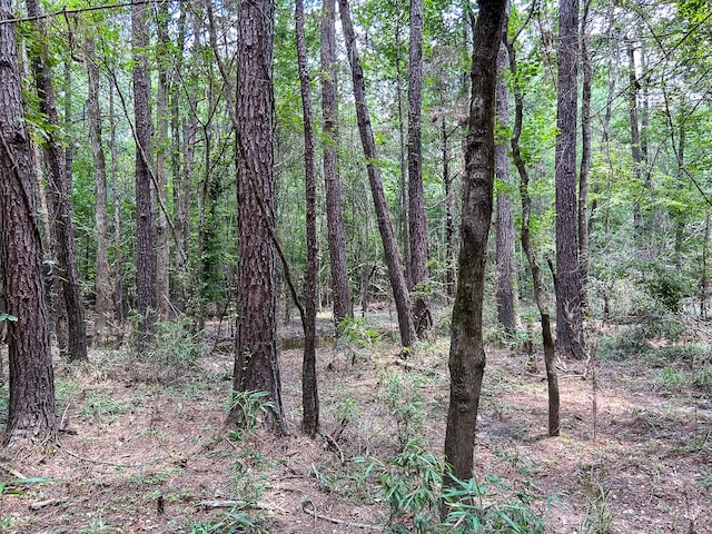 0 County Line Rd, Livingston TX, 77351 land for sale