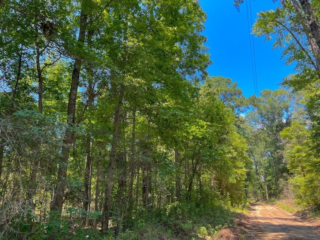 0 New Haven Rd, Milam, TX 75948