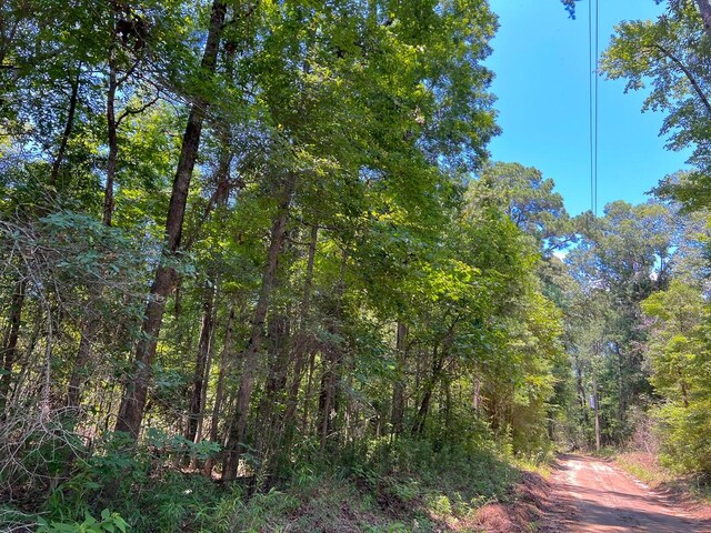 0 New Haven Rd, Milam, TX 75948