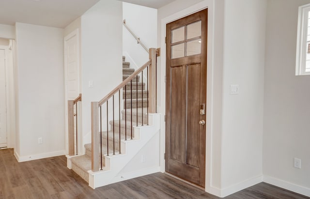 entryway featuring wood-type flooring