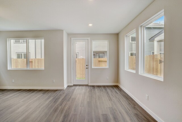 empty room featuring hardwood / wood-style floors and a wealth of natural light