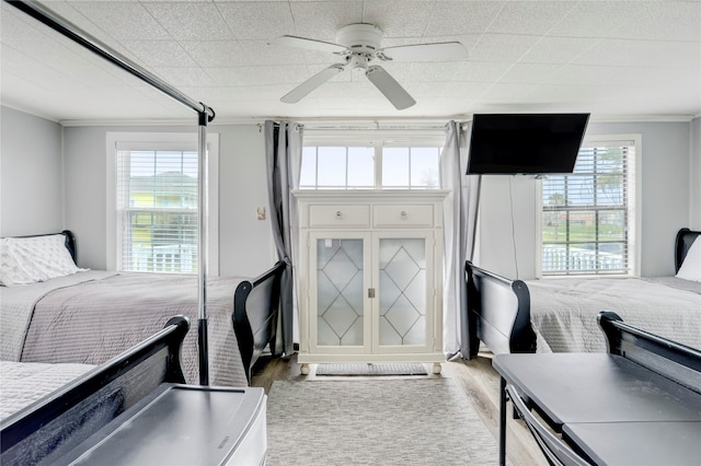 bedroom featuring light hardwood / wood-style flooring, ornamental molding, multiple windows, and ceiling fan