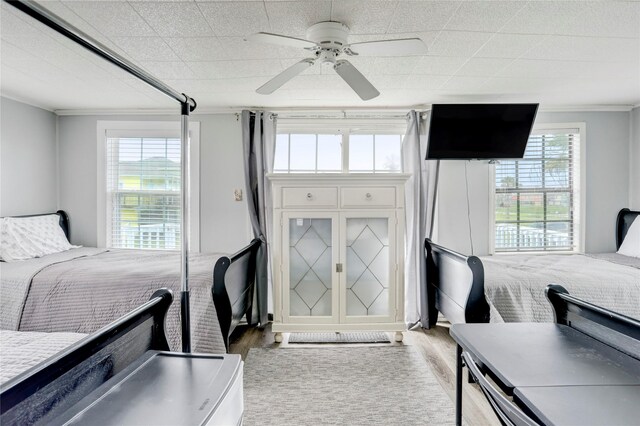 bedroom featuring multiple windows, light hardwood / wood-style floors, and ceiling fan