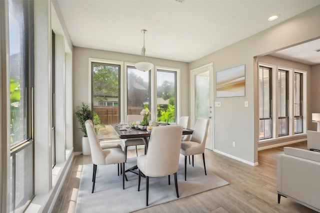 dining room with light hardwood / wood-style flooring