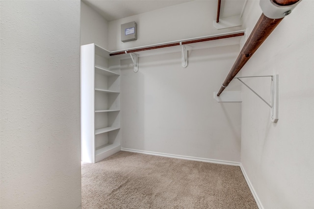 spacious closet featuring light colored carpet