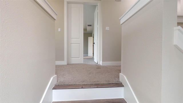 stairs with carpet flooring