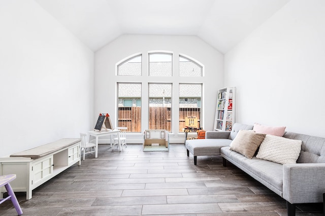 living room featuring vaulted ceiling