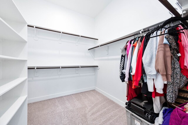 walk in closet with light carpet