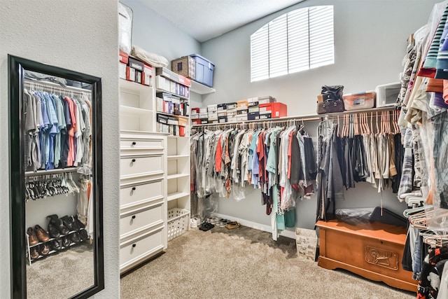 spacious closet with light colored carpet