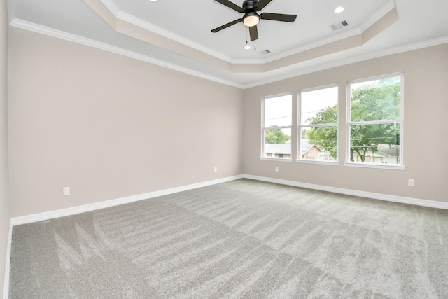 spare room with carpet floors, a raised ceiling, and crown molding