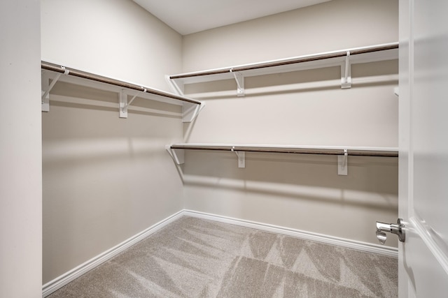 walk in closet featuring carpet flooring