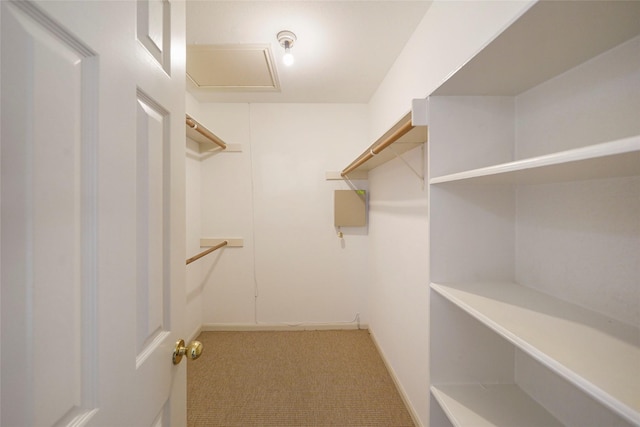 walk in closet with carpet